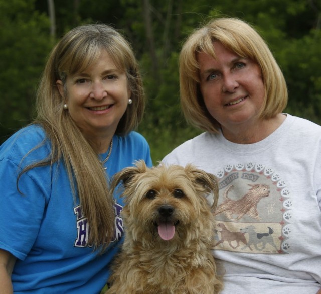 Photo of Susie from Talent hounds, Reta and Rescues Rock Star Linzy