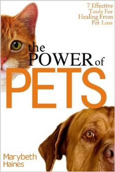 the power of pets book cover
