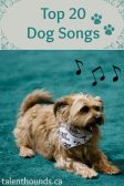 top dog songs