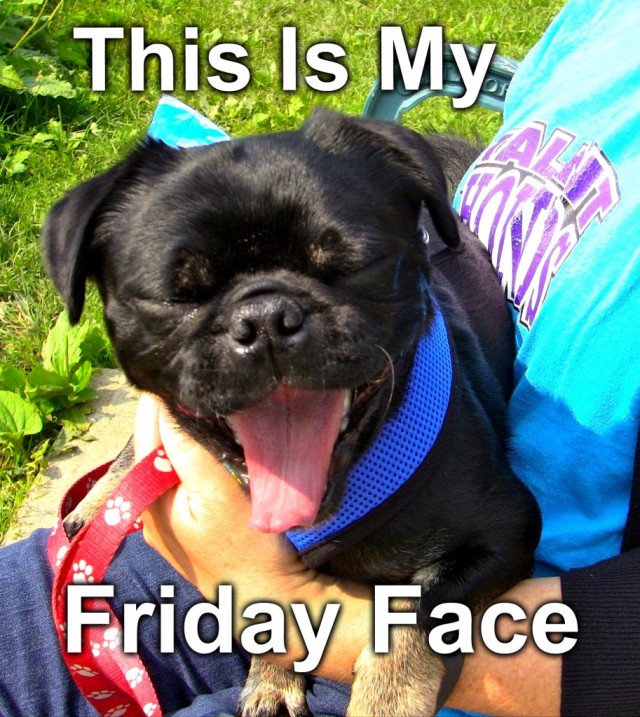 FridayFace!