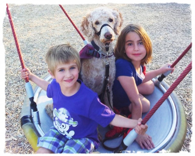 Braydon and his autism assistance poodle and sister on a swing - Dogs Make a Difference