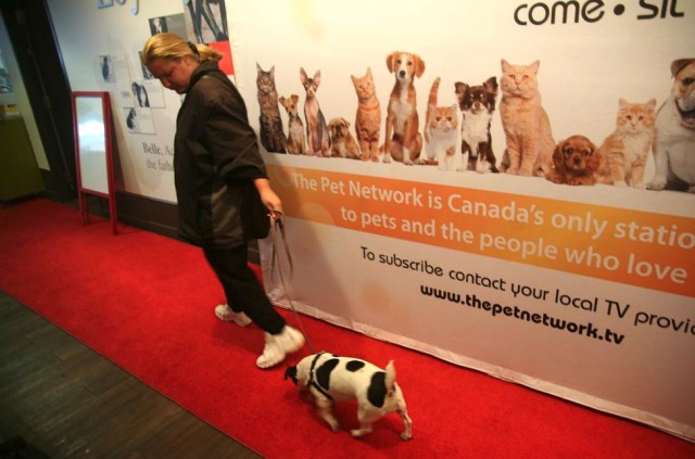 Marcy and Shivers walking the red carpet