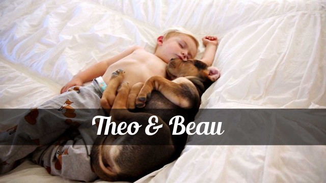 Theo and Beau- cutest rescue puppy