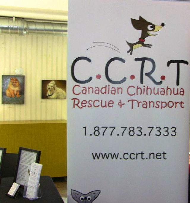 Canadian Chihuahua rescue booth