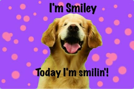 Smiley the Blind Therapy Dog smiling and bringing smiles and hope to millions around the world. He shows it is more than OK to be different. 