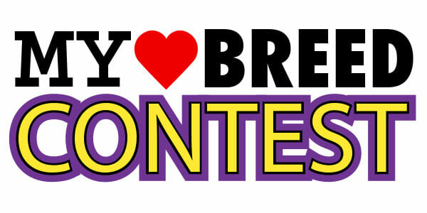 TH-MY-BREED-CONTEST-BANNER