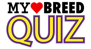 my-breed-quiz
