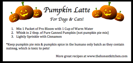 pumpkin latte recipe