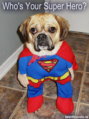 superdog