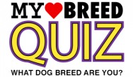dog breed quiz