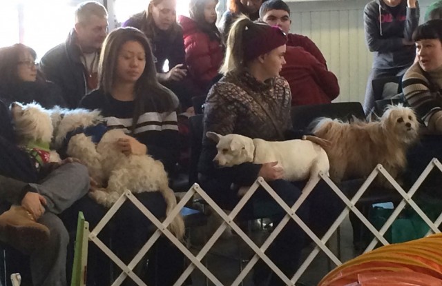 TH Woofjocks audience