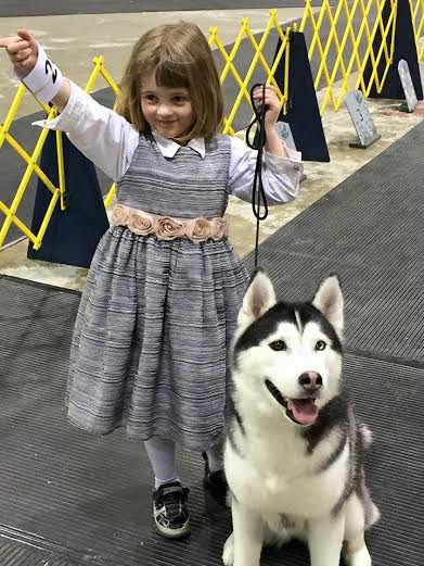 young girl and husky pose