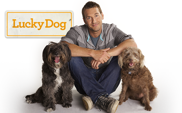 Banner-LuckyDog