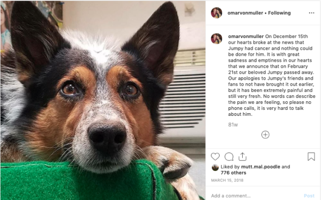 Jumpy the Rescue Dog Instagram announcement (RIP)