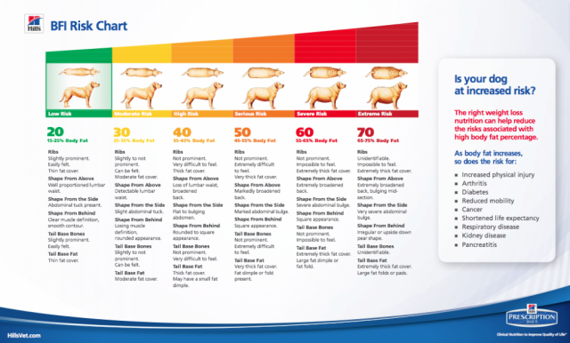 Hills-BFI Risk Chart