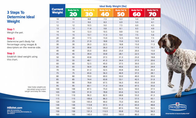 Ideal Weight For Dogs Weight Chart