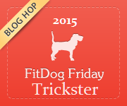 fitDogFriday_trickster