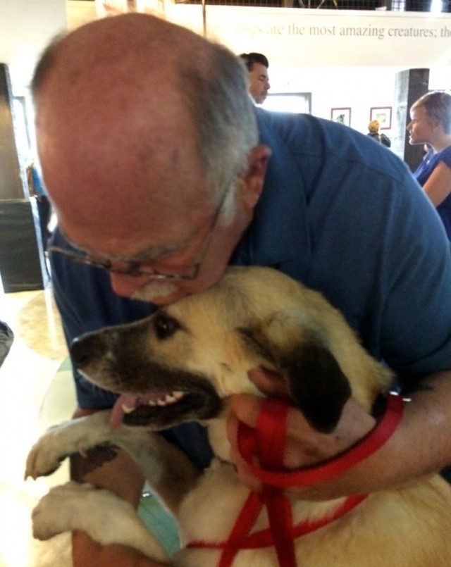 Bella the life saving rescue dog