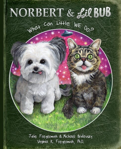 Norbert & Lil+BUB BOOK COVER photo