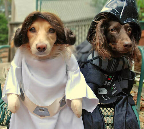 TH-star-wars day-dogs Princess