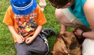 two dachshunds with mom and son