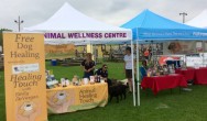 Animal Wellness Centre at Wienerfest