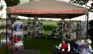 puppia harness booth at wienerfest