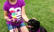 girl and black pug sitting on grass