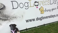 flat Kilo in front of Dog Lovers Day sign