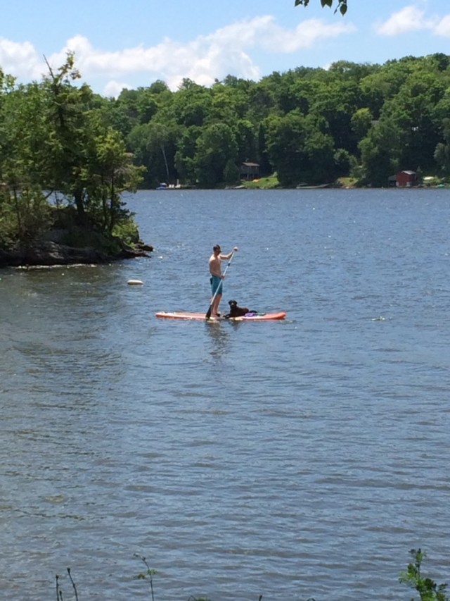 Nick & dog paddleboarding2