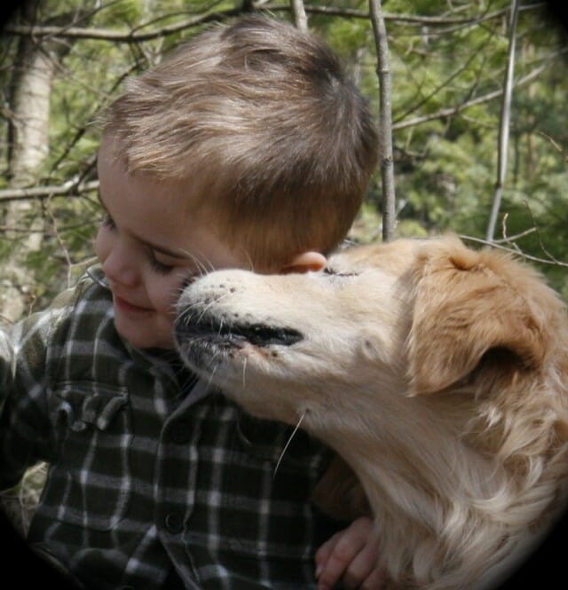 Smiley the Blind Therapy Dog Rescue and his boy hug