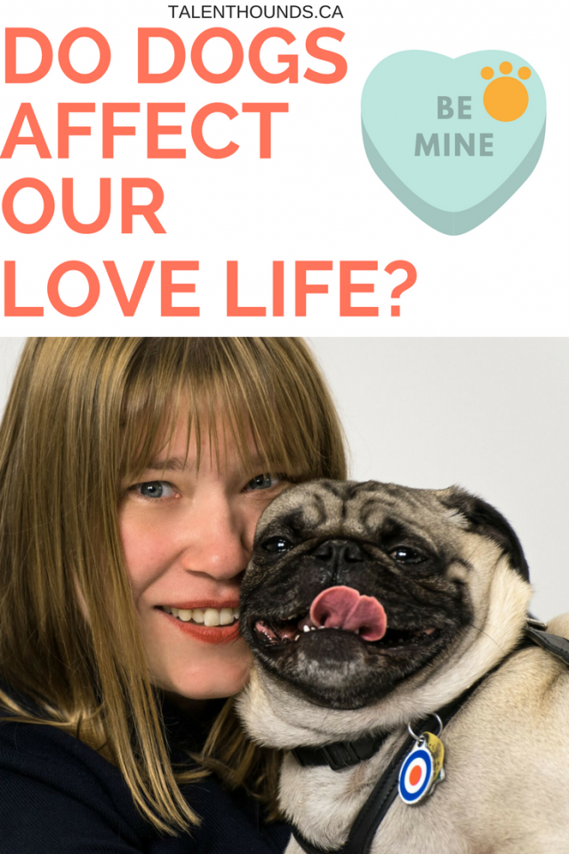 do dogs affect our love life how dogs affect our love life is love a walk in the dog park with fishstick the pug