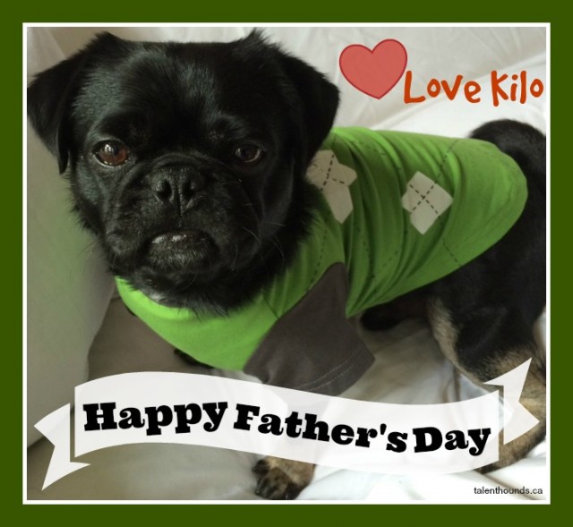 Kilo the pug wishing a happy father's day