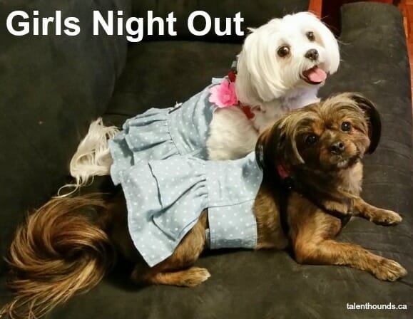 girlsnightoutideas-meme