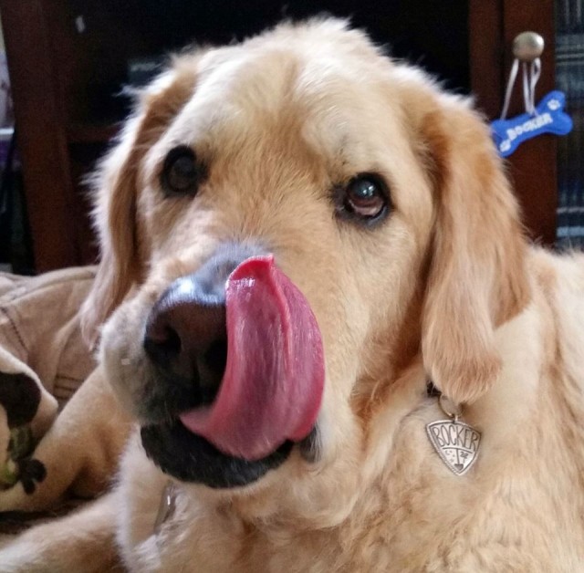 Bocker for Tongue Out Tuesday