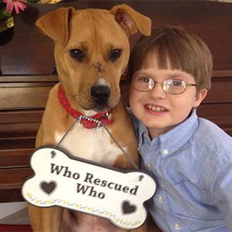 Xena the warrior puppy with boy