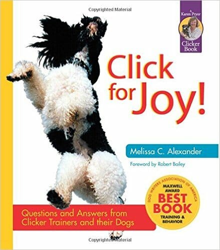 Click for Joy book cover
