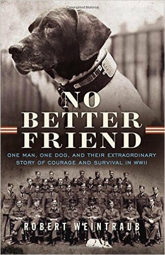 No Better Friend Book Cover