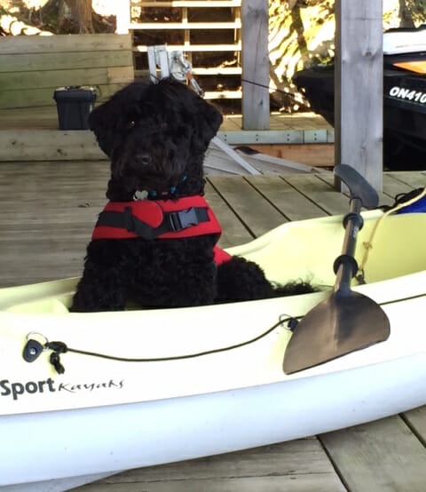 Buster in kayak