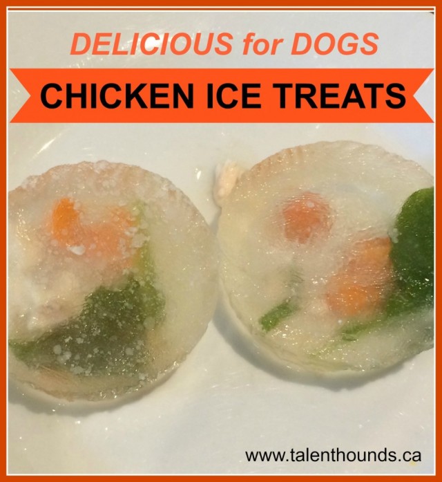 Frozen chicken ice treats PIN Picture