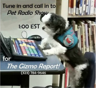 Gizmo doing radio show