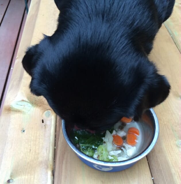 Kilo eating fresh food