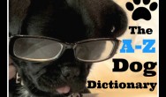 Kilo the Pug in tie and glasses shares the A-Z Dog Dictionary