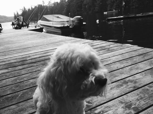 Maya sitting on dock 2