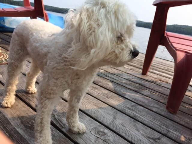 Maya standing on dock