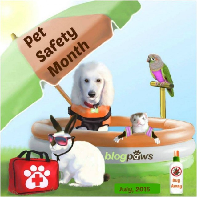Pet Safety Month