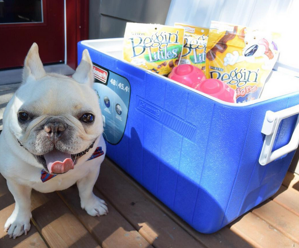 Sir Charles Barkley with cooler full of treats