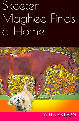 skeeter maghee finds a home book cover