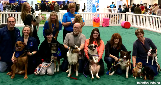 group shot at canadian pet expo