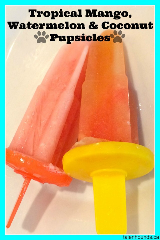 watermelon, mango, coconut pupsicles